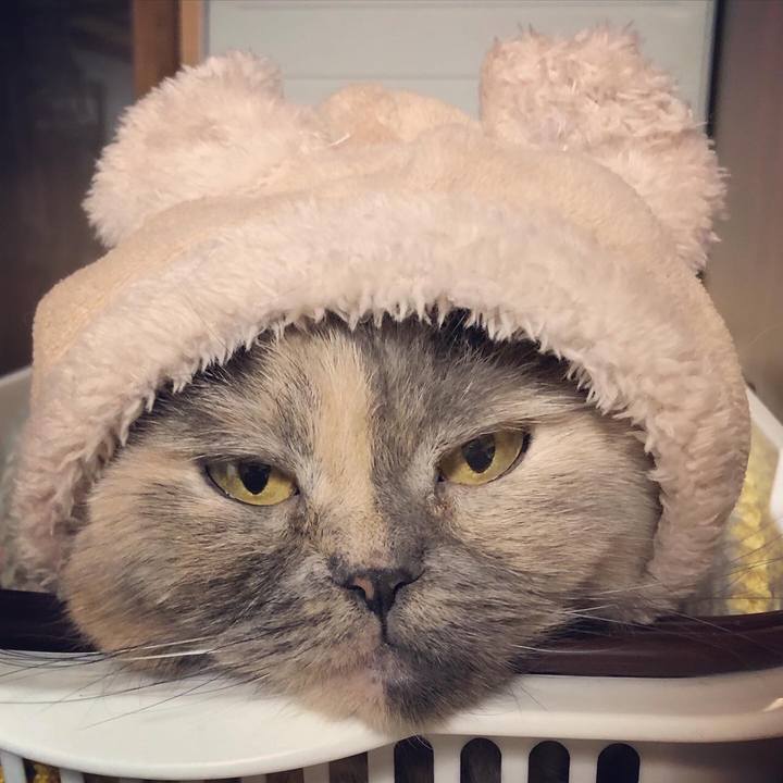 D08206d9 d457 46f8 b8d2 cc521334a00b 1669422996880