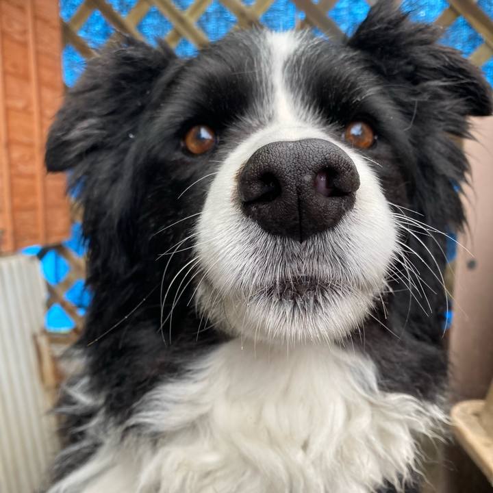 D0822d5f 605d 407a 8ae4 d0d5f3657ce9 1645230795687