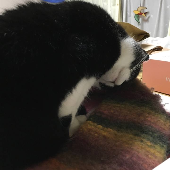 D08354dd fdae 4172 911f b8e45839a6cc 1509115953701