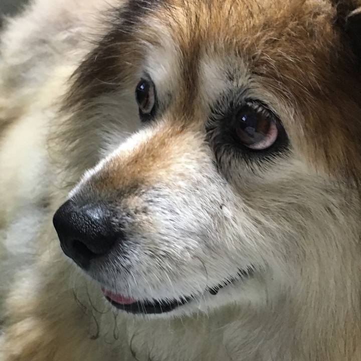 D08354f0 cfb4 470a ba32 d709717a3a77 1570066291831