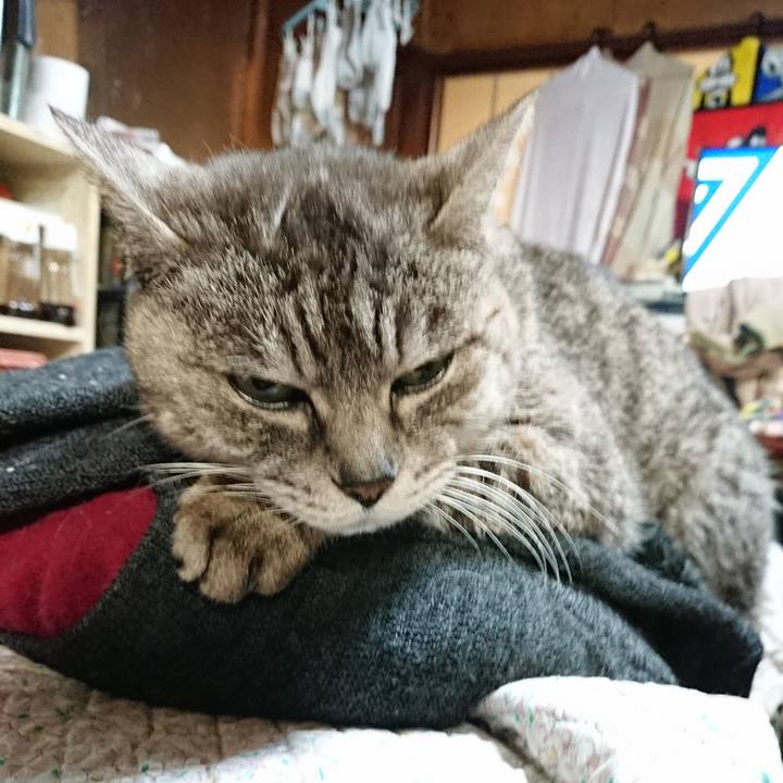 D0835649 550d 4223 9ddb 22f83af0f164 1578391293465