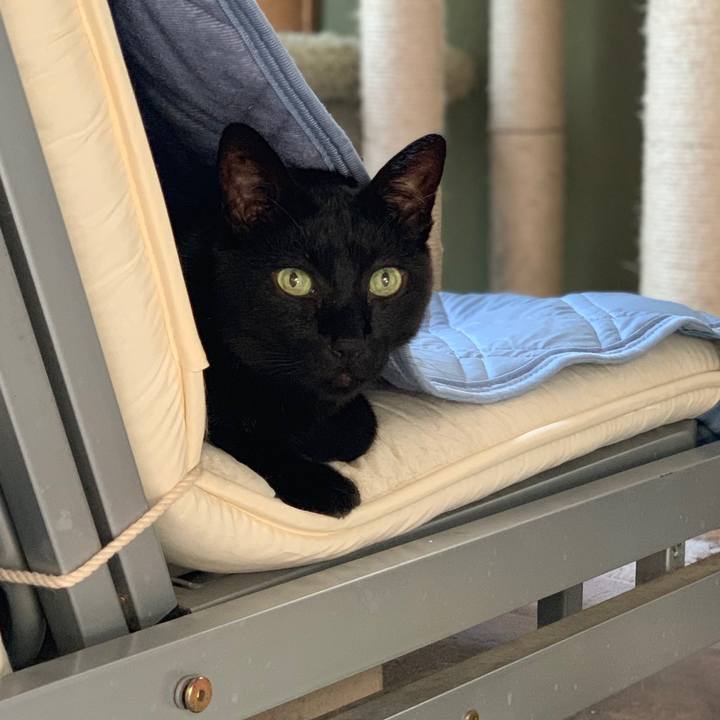 D0835dd6 4a23 4980 af32 9c4ac2068e2e 1564705292613