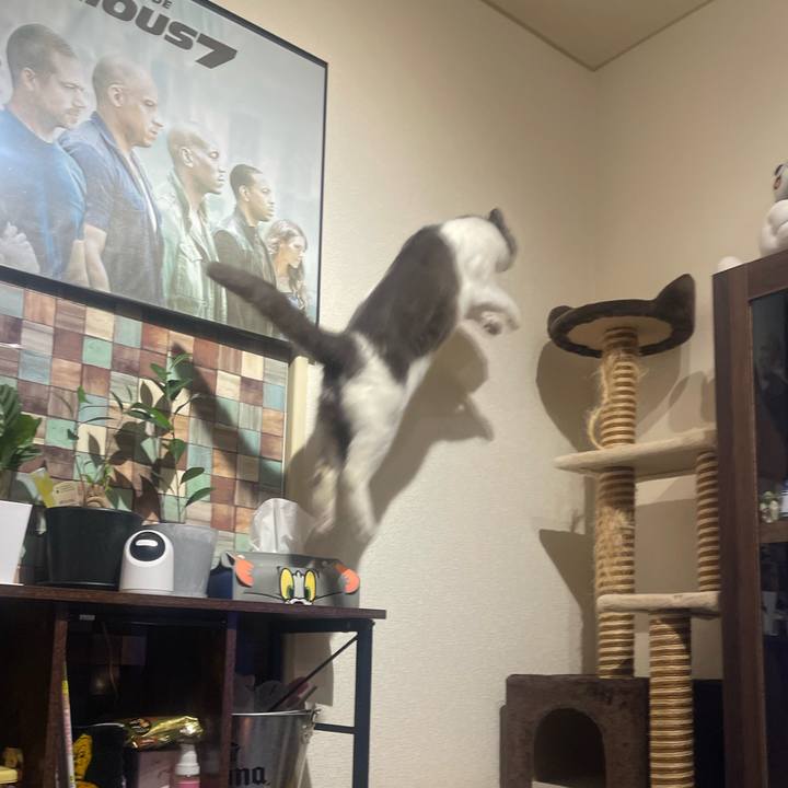 D0837ec5 3a2f 4cca 9053 ccc74cc74cc8 1749743494311