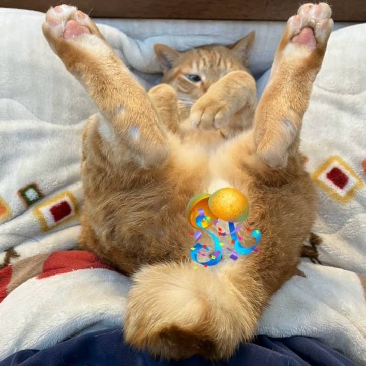 D083e99b 96d5 4101 b0ee 5d071a3c98db 1769039080491