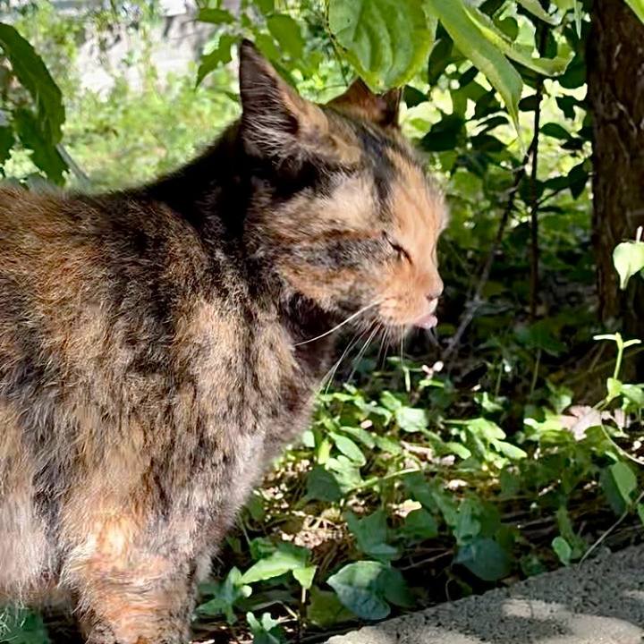 D083f2fe 4f3c 47fc 86c1 d441ab4d4d6b 1751248892634