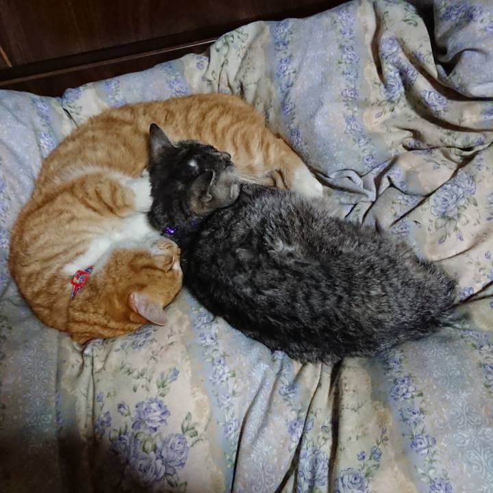 D084191d 8847 4abd bfa0 4f38059514ff 1578915533309