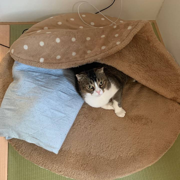 D084601a 2af7 47ae bbb5 8eb6f7189950 1574844532275