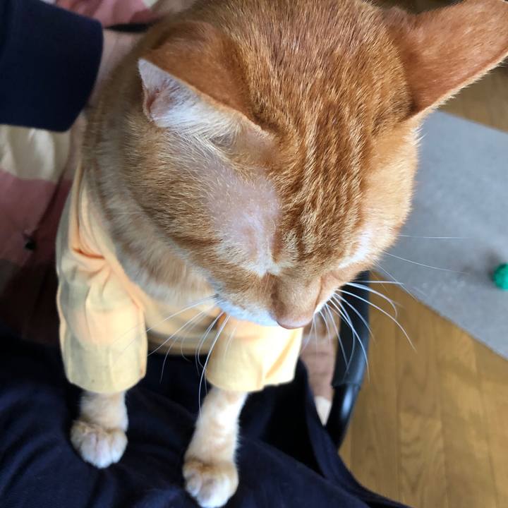 D0846c9f 451a 4f53 877d 3c4b24d7c889 1719129873468