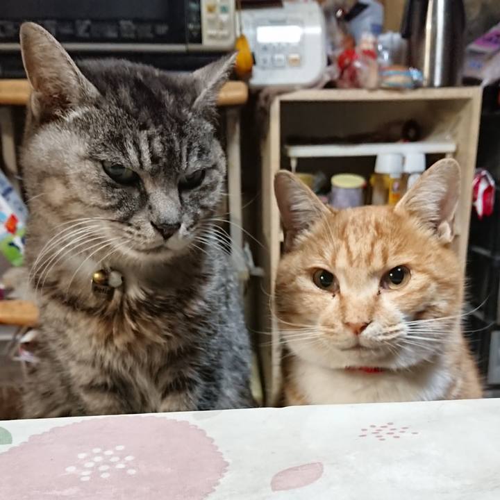 D084747f cf81 4eb6 a0a3 5f23599c650c 1577484147968