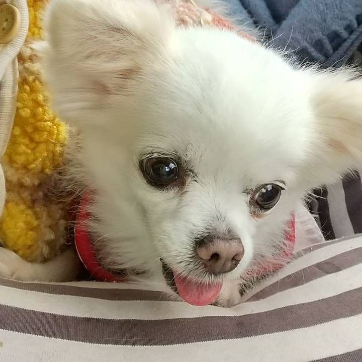 D084756c a1ac 4ba4 87a2 a53841f635d7 1646138622670