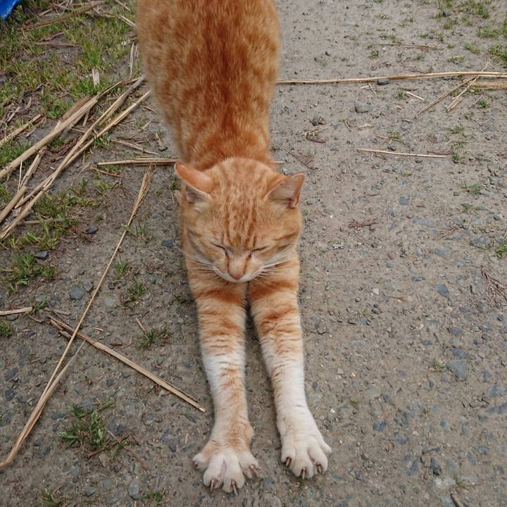 D0847d36 7fa3 49b5 a0af 90f9a58103ba 1556094753676