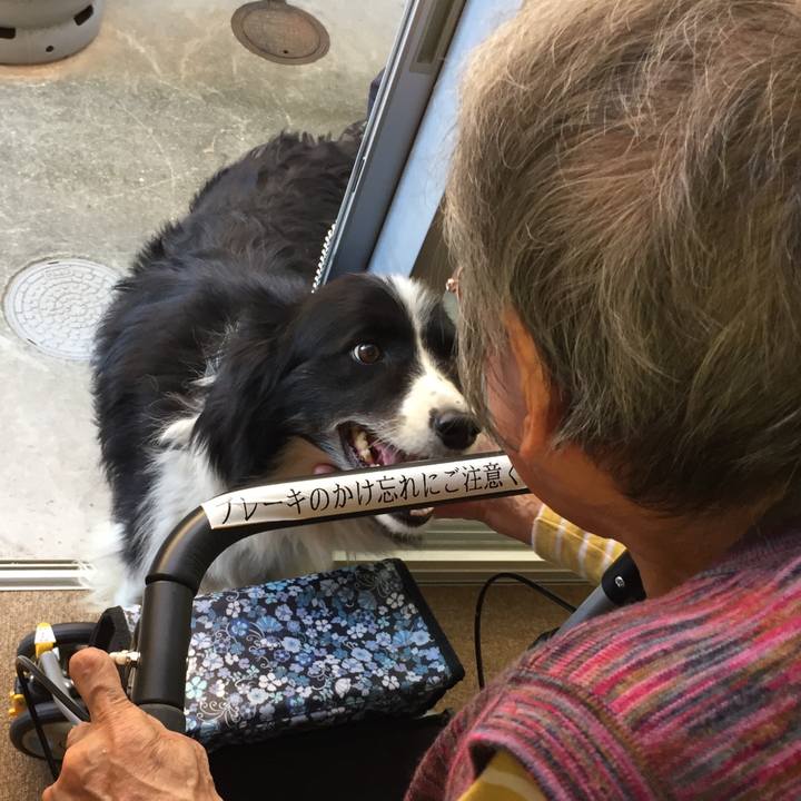 D084a9ec fe42 4f0a 840f 3b1f55daea30 1571634478525