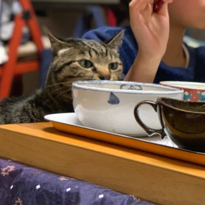 D0852d14 6e5c 4478 886e de69f100ccdf 1550930301832