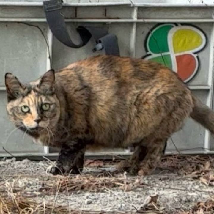 D08538f5 8ed2 4c1c 9992 1d6c5abf8290 1773583201832