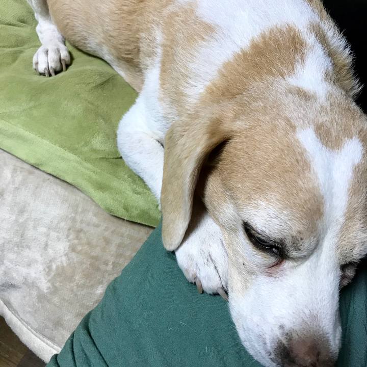 D0856a31 d975 4c57 b5e3 06057327a43c 1560773395613