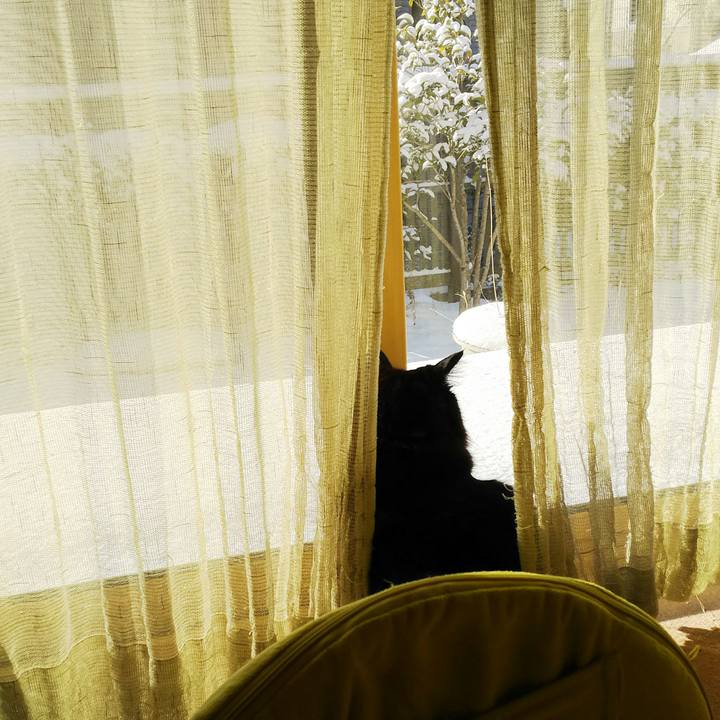 D0856c71 9181 4f6f a3cd 119af819d109 1516840254823