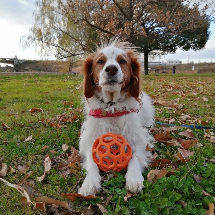 D0862589 8e1f 4bc7 b067 74ee83cf353d 1608895660378