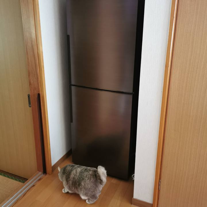 D086602a dcee 43a7 a2f6 3c8a38393ad6 1674880739891