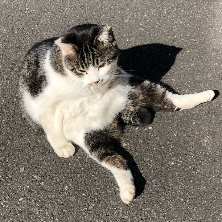 D08662c3 11ef 4a48 8afa c4c67eabcde3 1575348501568