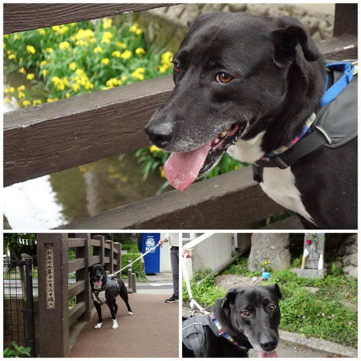 D0868577 a95e 4ab5 833c f9c556581f0f 1652575573066