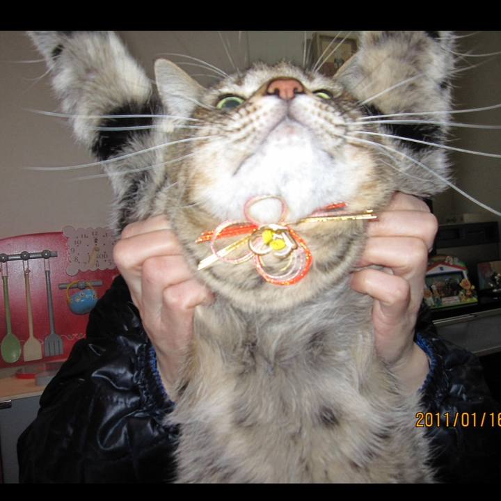 D0868c0a 9ee7 491f 8067 2ade6d97ea23 1697463406705