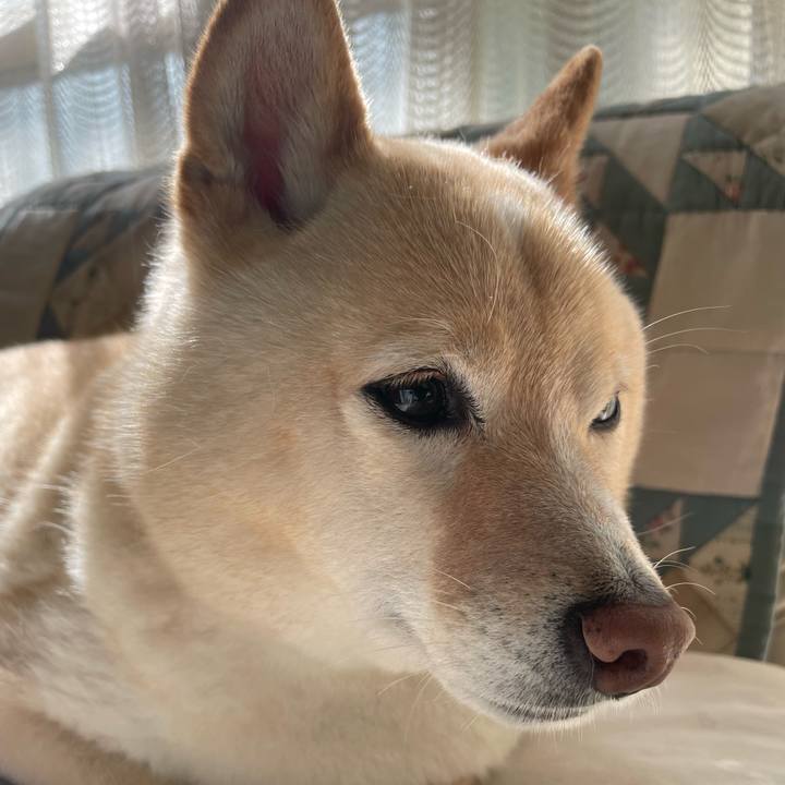 D0869316 5089 4f97 b805 98e1584ccf39 1714605436018