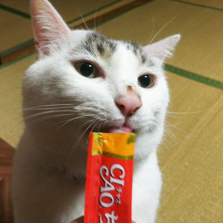 D086a229 687c 49a1 90a5 0b2d33e95956 1538301821823