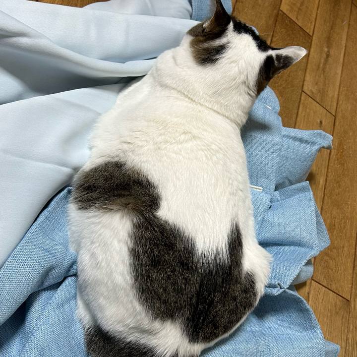 D086a3ee f2b8 44a7 a551 0167538f077d 1676706173770