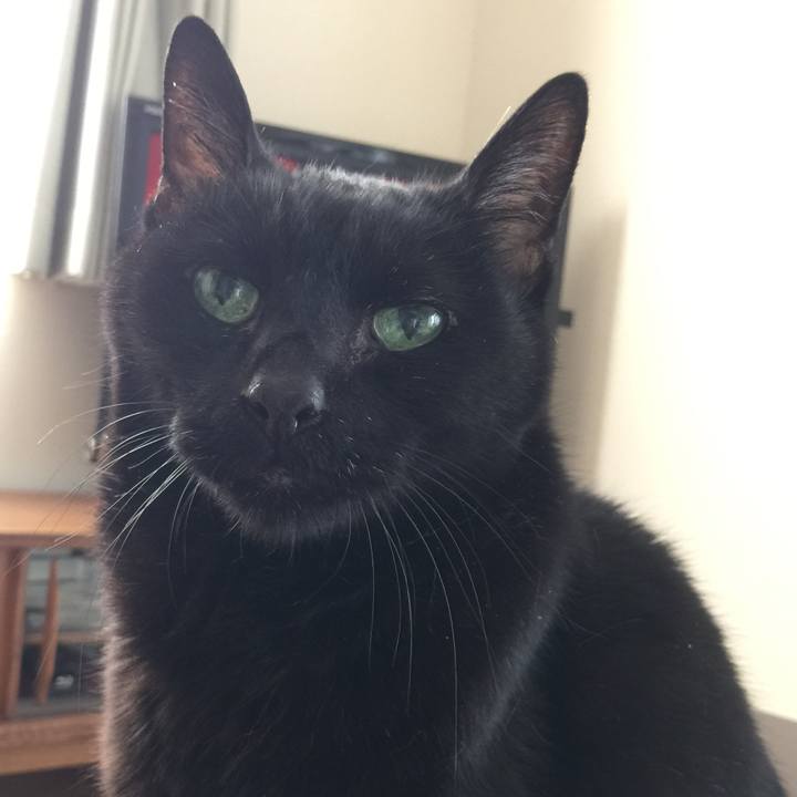 D086b9d1 48e9 4d8f ab66 a5403fba9cd1 1519445839781