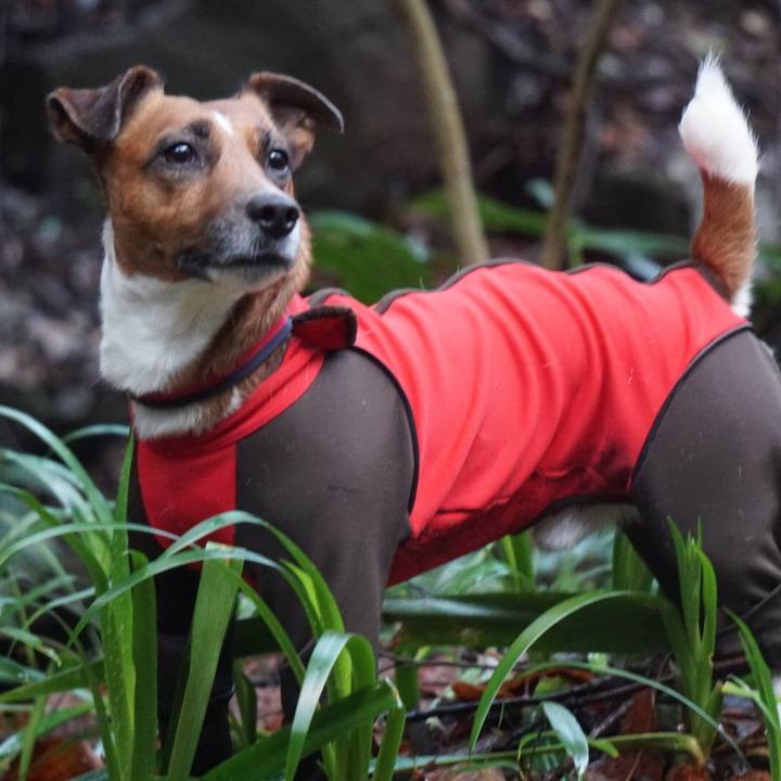 D086e270 a61c 4107 b05a e8f89cef02f4 1521674159068