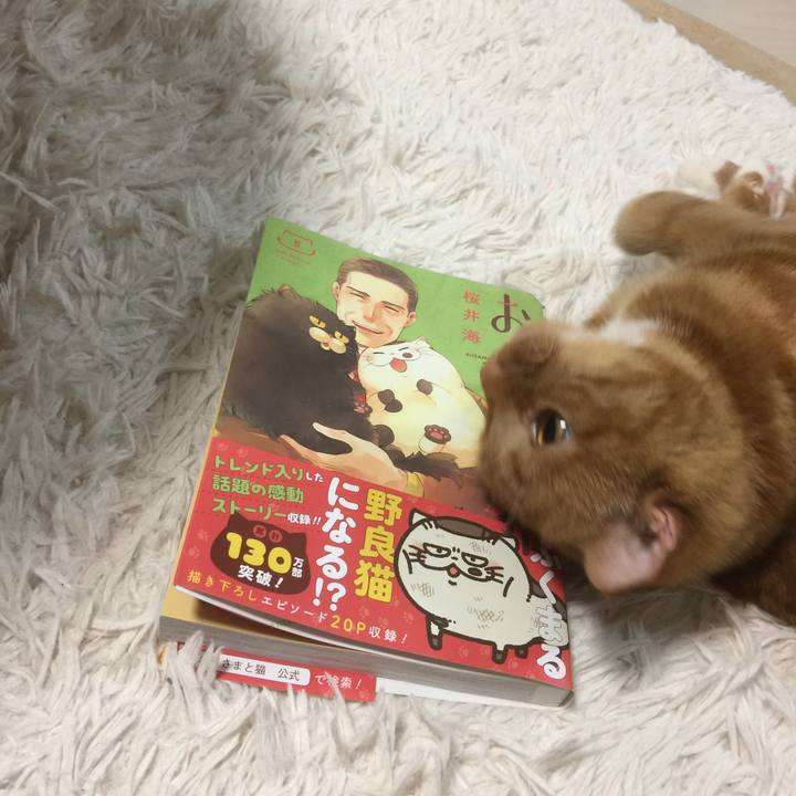 D086f102 9209 4d09 86a3 42047ebe6ccf 1592228894893