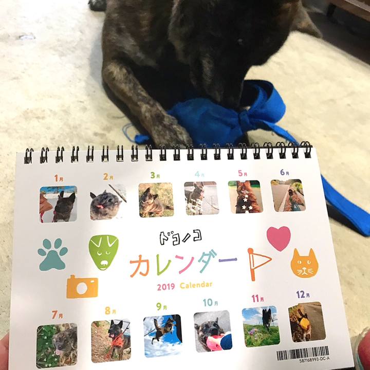 D086ff05 aa7f 457d 807d ff898026a113 1546071627158