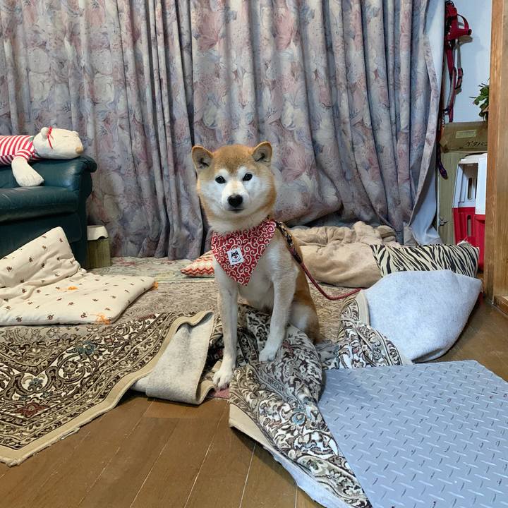 D0870dcf 85af 4d0e a45a 6fa24117e8eb 1642416570189