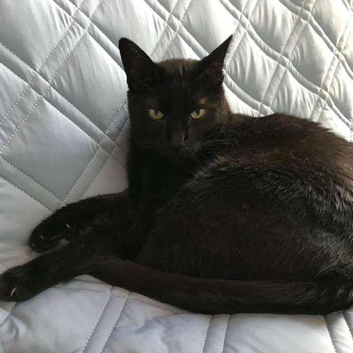 D087152d fcae 4c2e b92d 3e6906b2881a 1528334060093