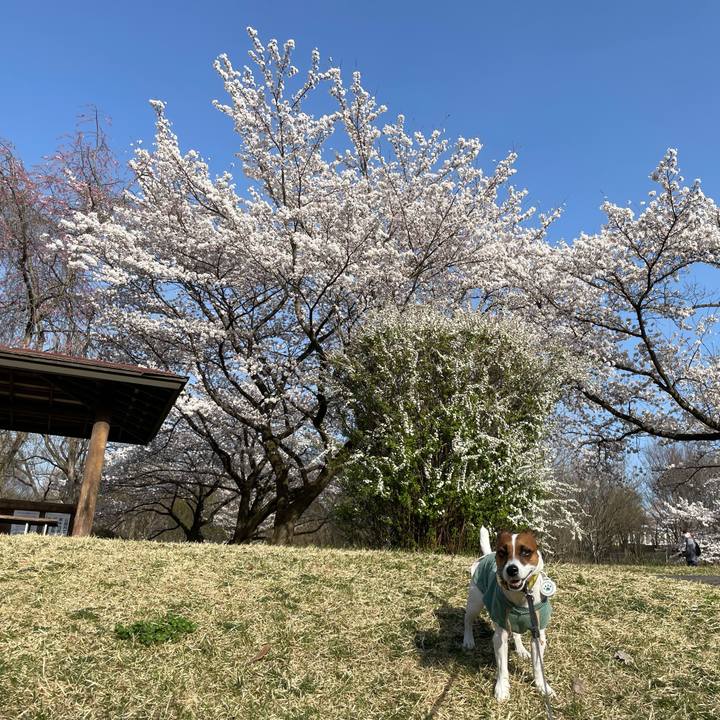 D0875106 ed8e 477f a327 f7020dba4b43 1649761428200