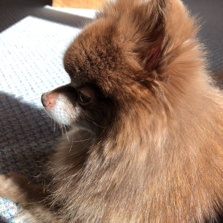 D0877c98 c113 491f 9924 789013d73d74 1550457680803