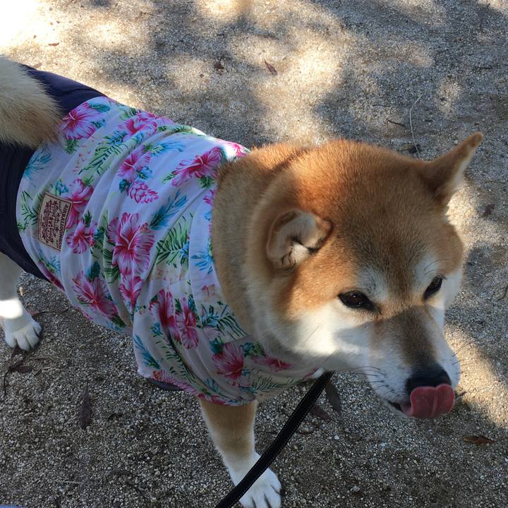 D0877fe7 9657 4064 a6ed fd90e2502e25 1572924234592