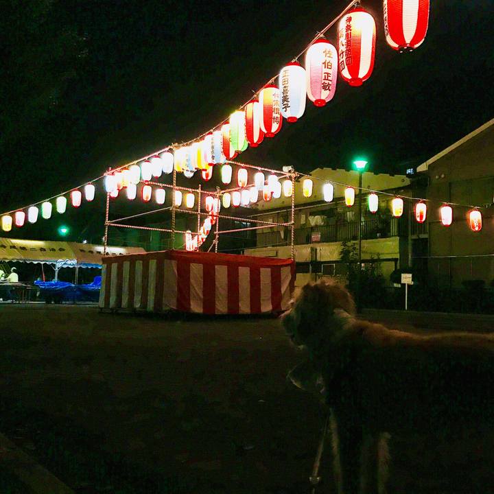 D0878ec2 0c2a 4059 878e c786cbb3817b 1532957729006