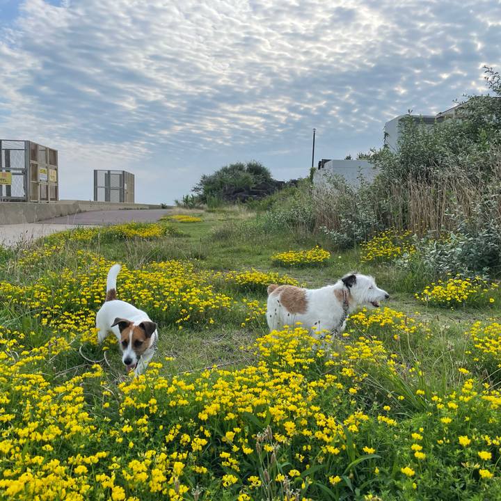 D087d7b8 a5ee 4f32 9d51 6a7c25f5d31d 1658790949277