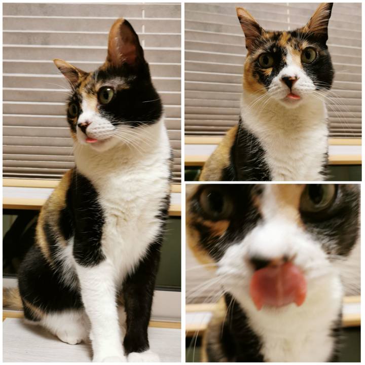 D087eead 729a 42aa a12e 42adc12fb63b 1659771150511