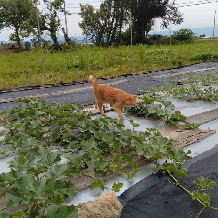 D0885075 34fa 4733 813e 5674e6338e4e 1718664844876