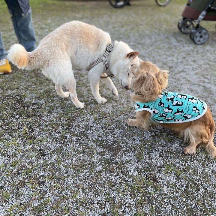 D08884a3 2597 4f5e b74c 35ada25913ef 1648816074914