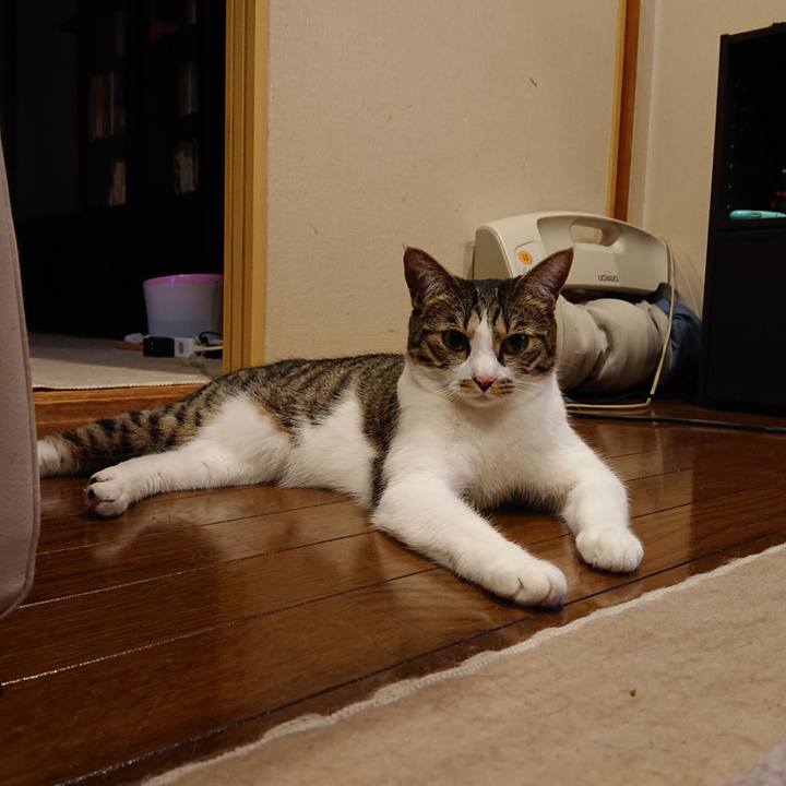 D088856d a963 44bc ad49 823a595899d3 1588508811247