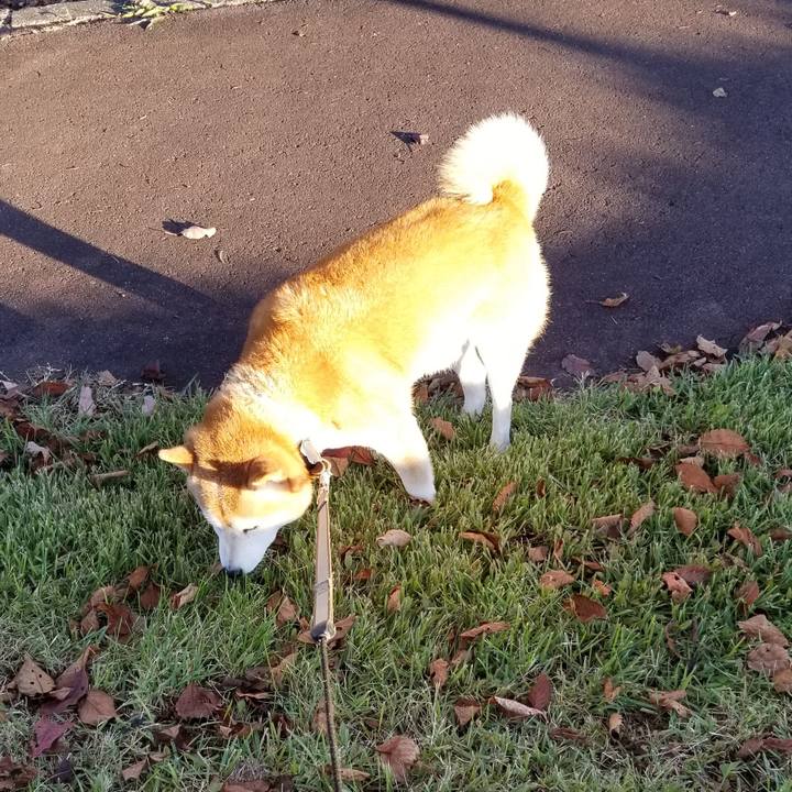 D08885b0 93b3 4072 8753 432f6ec735c1 1666767973140