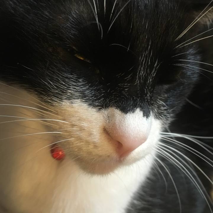 D08890dc 0c46 4dde b7ca c38fa56a350f 1577024189830