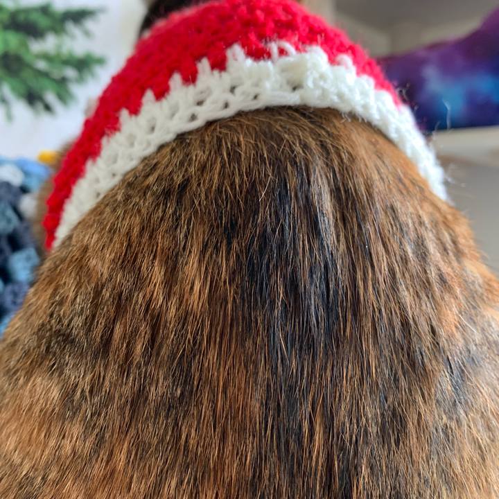 D0889cee 4ebc 4c85 bb2b 6cf1dc1c56ad 1671421784174