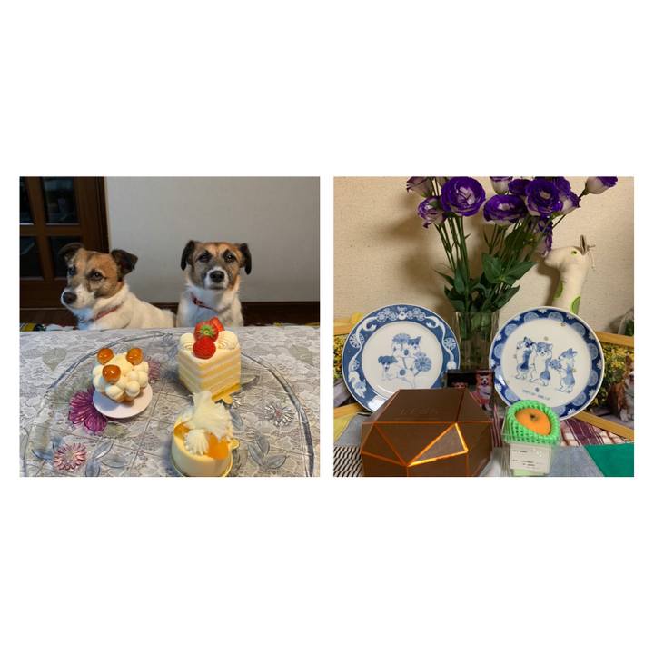 D088a573 426d 4c88 9504 a4423a878f9d 1621254779651