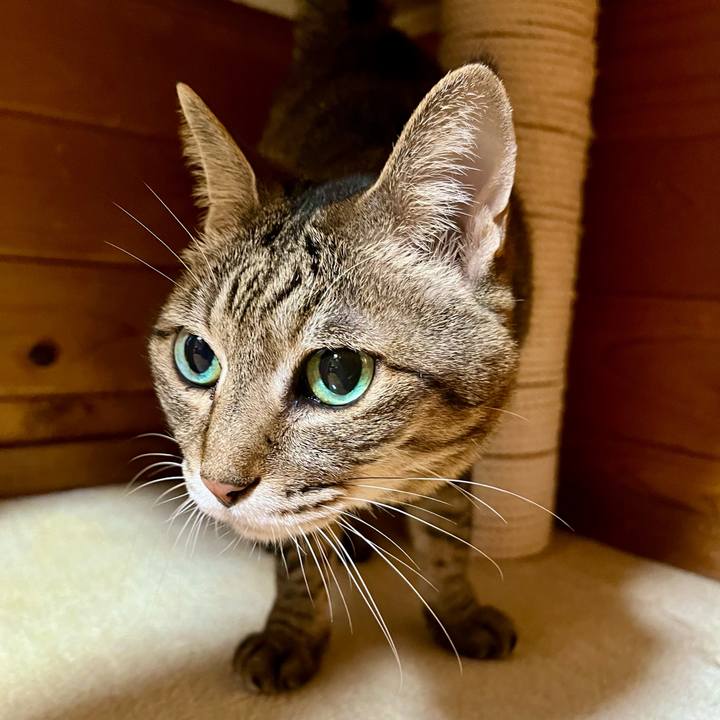 D088aa9f f083 4f70 afce b8b1145a0ad0 1743255578784