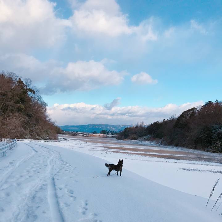 D088c3e5 faff 43cf 97a3 61901c2bec79 1519172881917