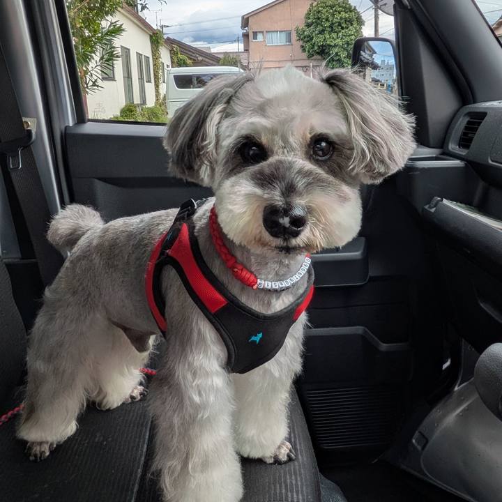 D088f9de bd72 496b a413 13ee8dbcf330 1759148054502